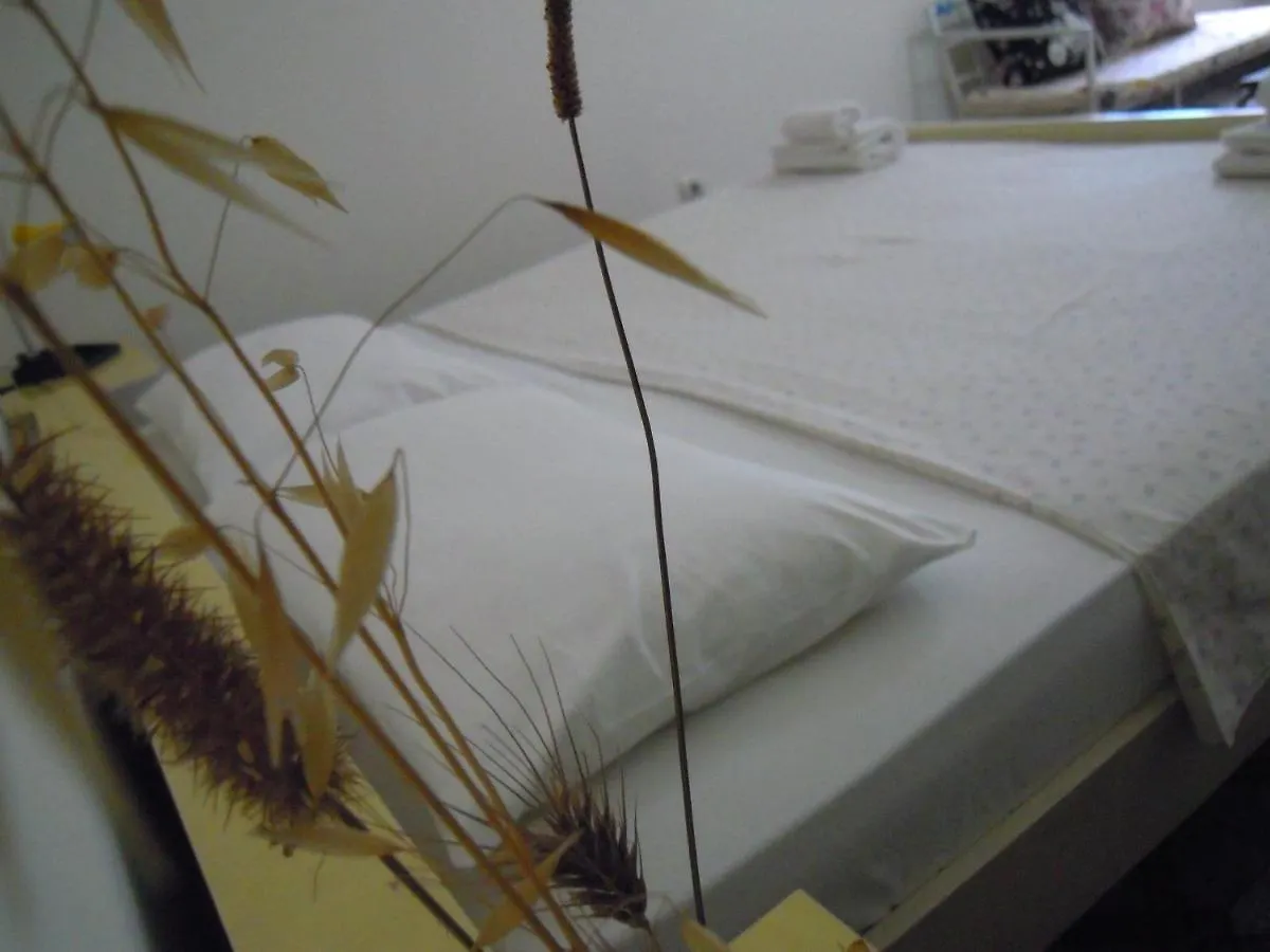 Homestay Angie'S Shared Villa Tam Tirana Albania