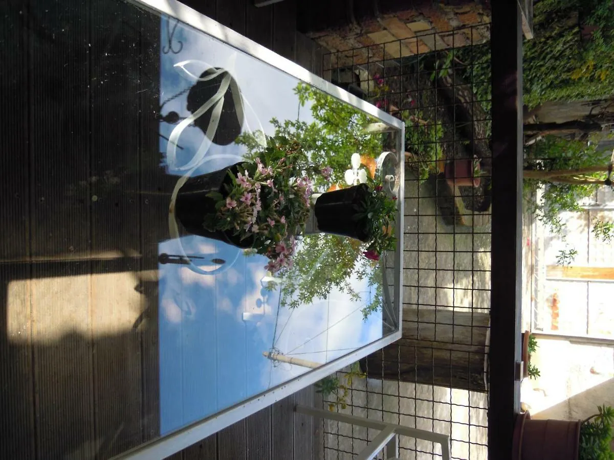 Homestay Angie'S Shared Villa Tam Tirana